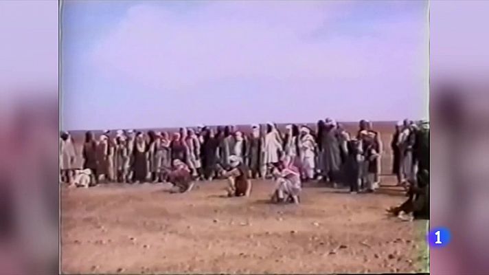 Telediario 1 - Diez años de la muerte de Bin Laden, el cerebro detrás del atentado del 11S