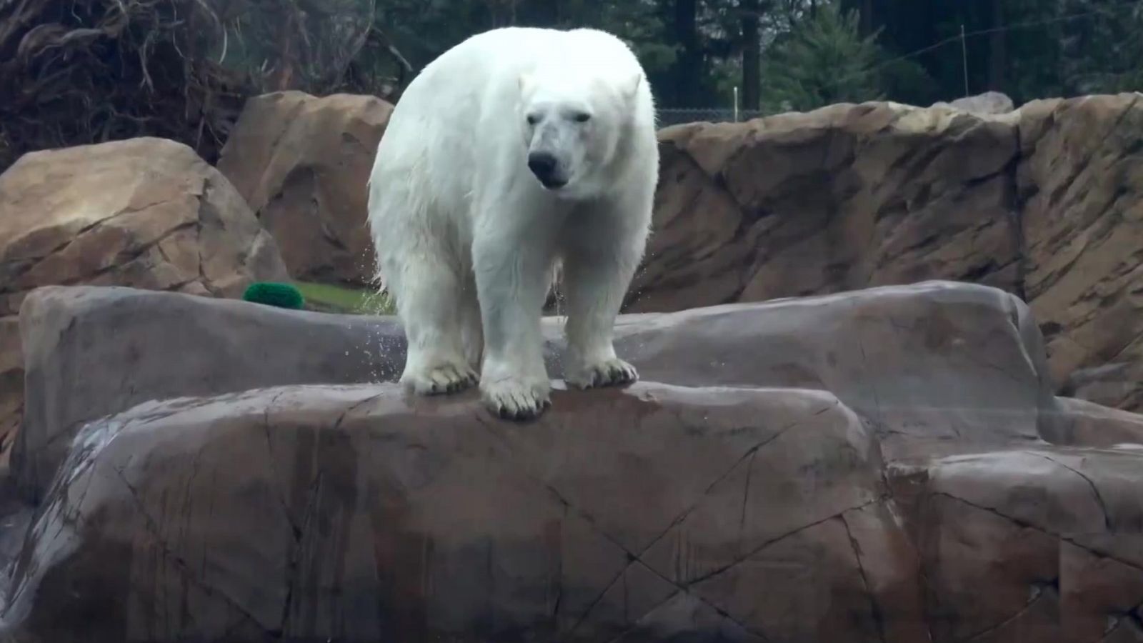 Aquí la Tierra - 02/05/21 - ver ahora