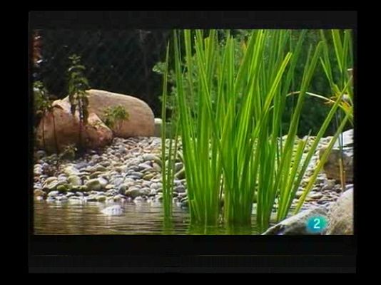 Terra Verda - Plantem cara a les sequeres