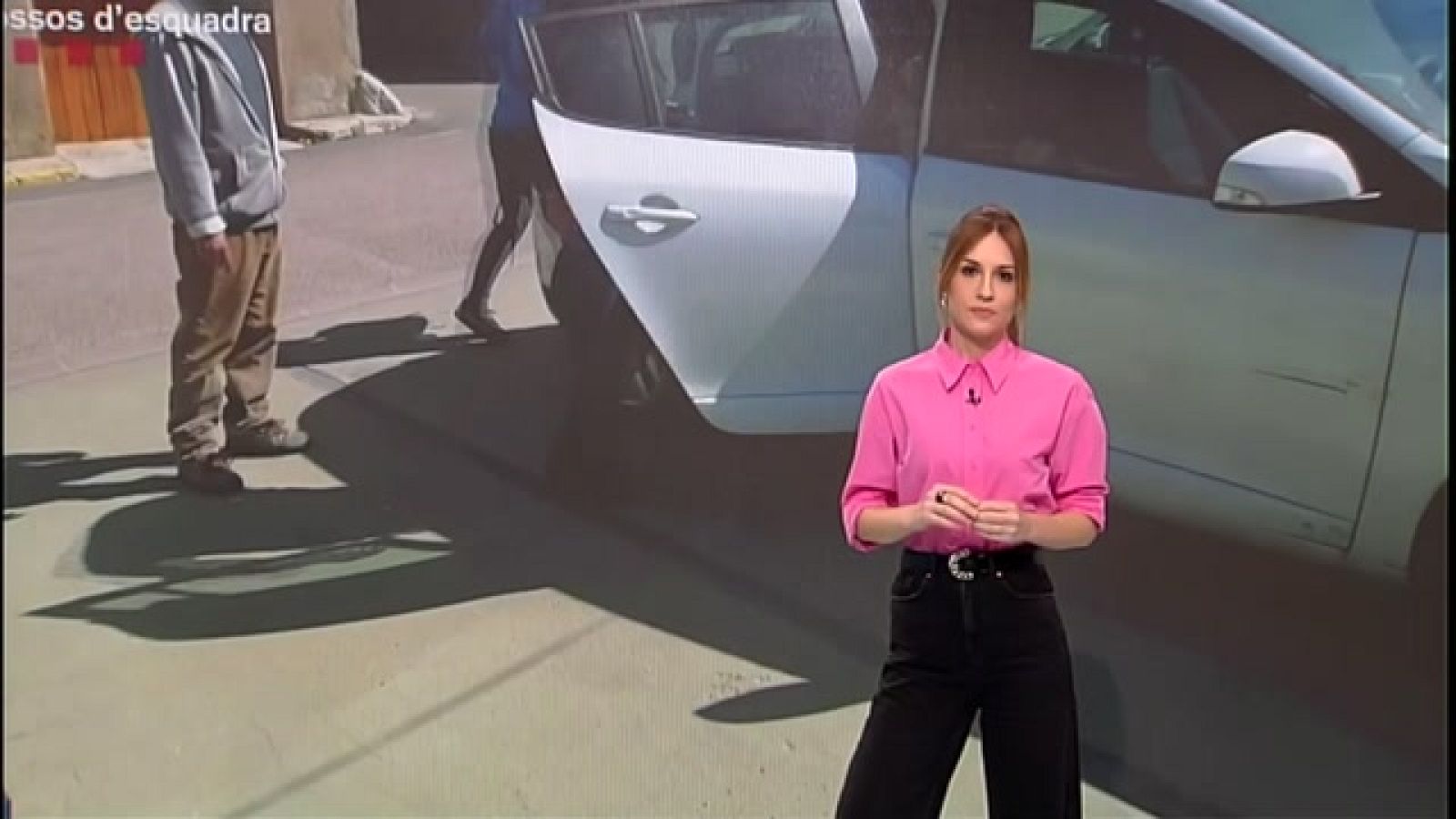 A En Línia parlem de les sectes, l'astènia primaveral i els gossos perillosos