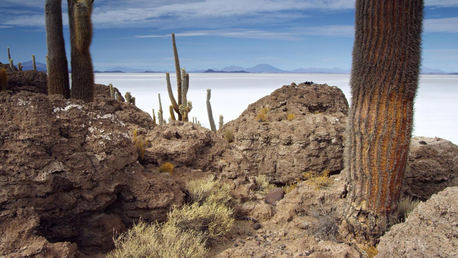 Los Andes salvajes - Supervivencia extrema - Documental en RTVE