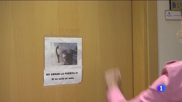 Noticias Andalucía - Ancianos de una residencia de Almería recorren la ciudad en tren turístico