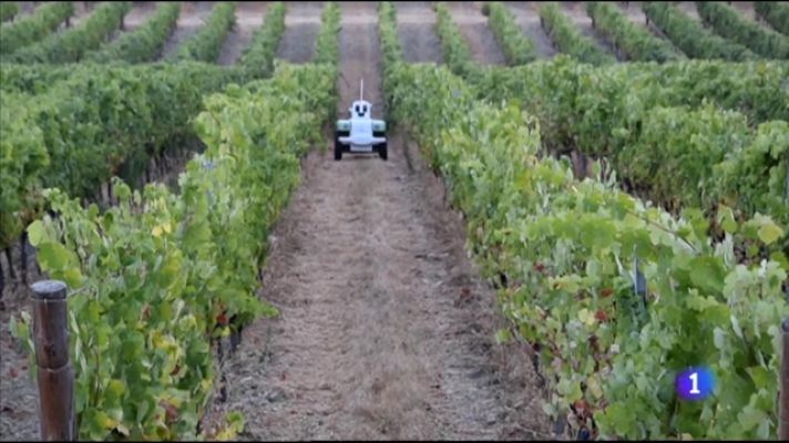 L'informatiu - Comunitat Valenciana - L'Informatiu Comunitat Valenciana 1 - 04/05/21