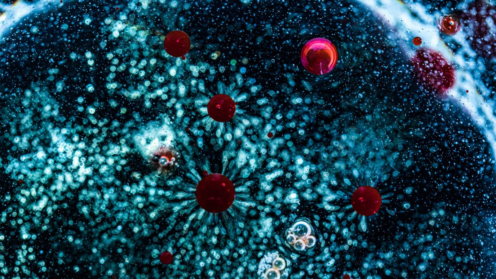 Alfredo Corell, inmunólogo: "No hay que confundir el tsunami indio con la variante india" - La hora de La 1 | Ver