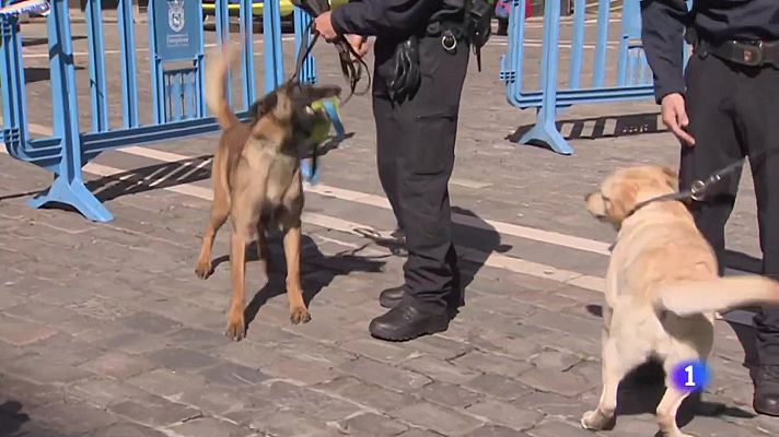 Unidad canina de Policía Municipal de Pamplona