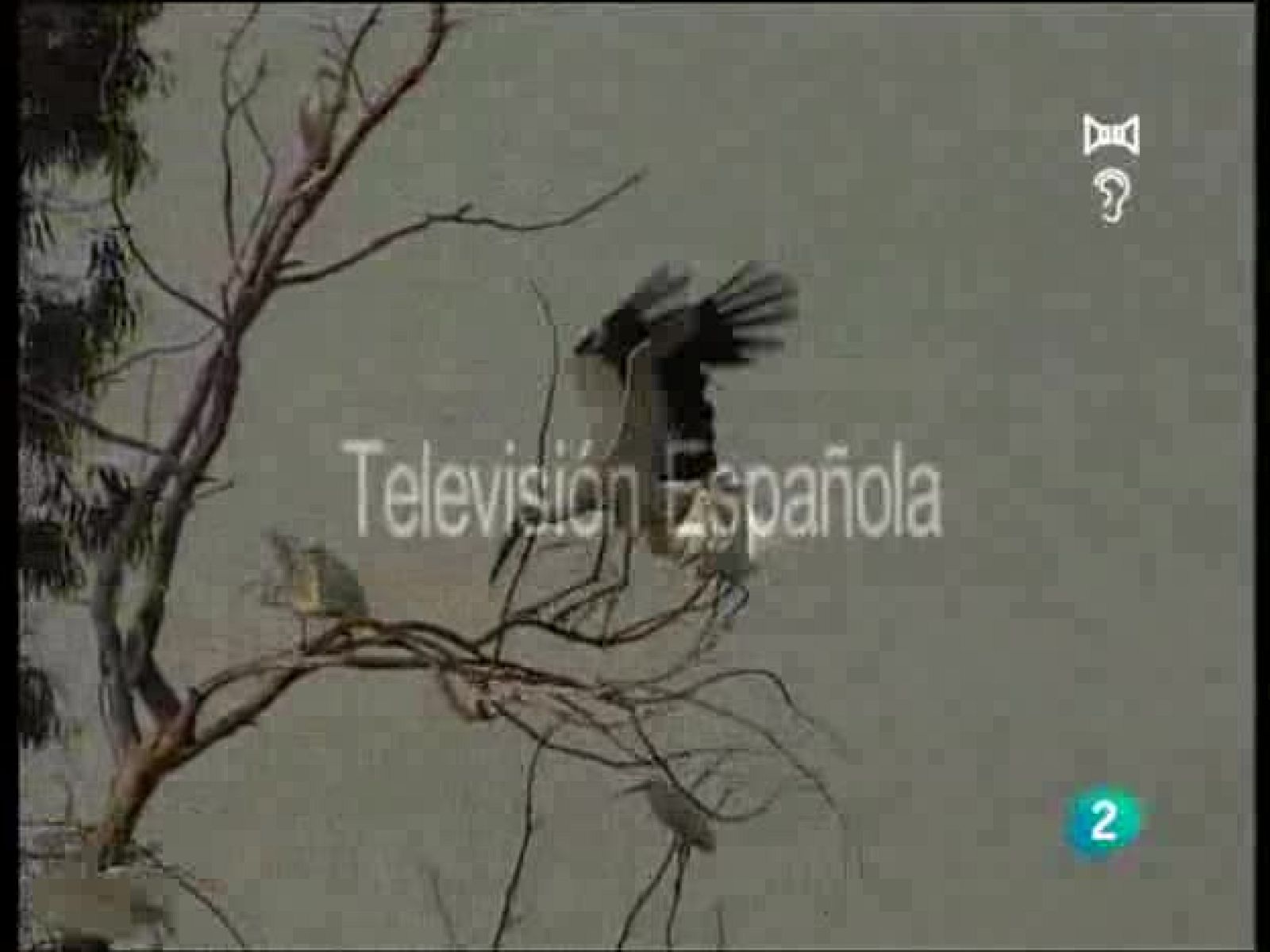 Guardianes de hábitat - Espacios proscritos - Guardianes de hábitat | Ver