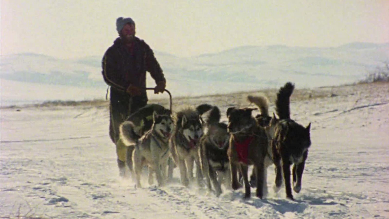 El hombre y la tierra (Serie canadiense) - Iditarod. 1000 millas sobre hielo II - Documental en RTVE
