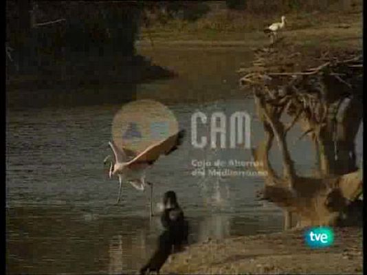 Guardianes de hábitat - Vida en dos palmos de agua