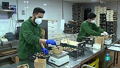 La Metro - Bolets per la inserció al Montseny