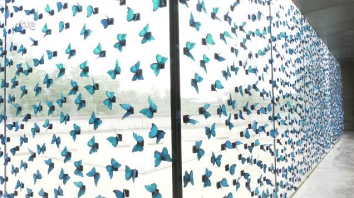 Atención obras - Soledad Sevilla