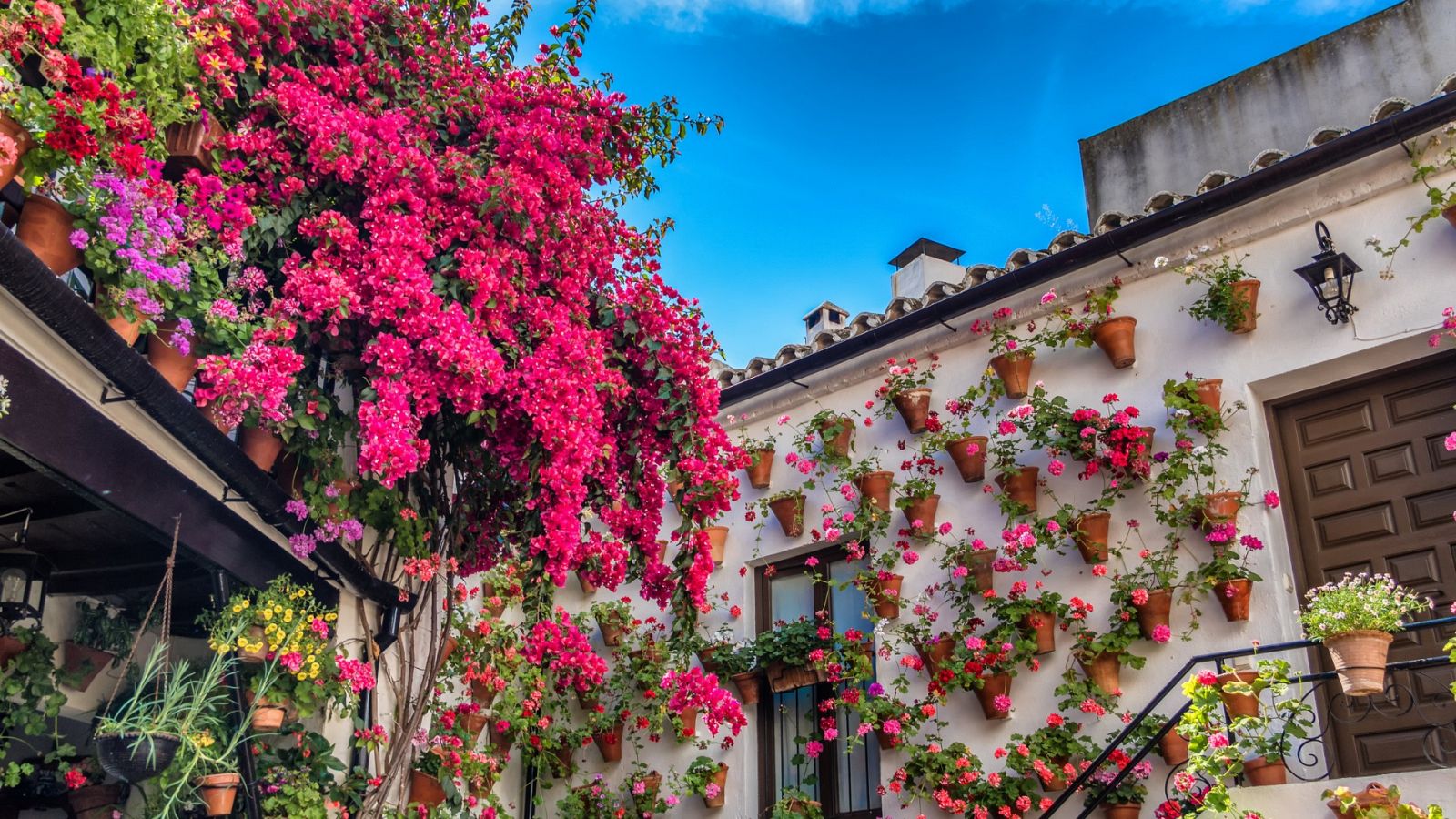 La primavera llega a los patios de Córdoba