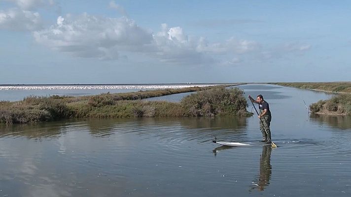 Doñana