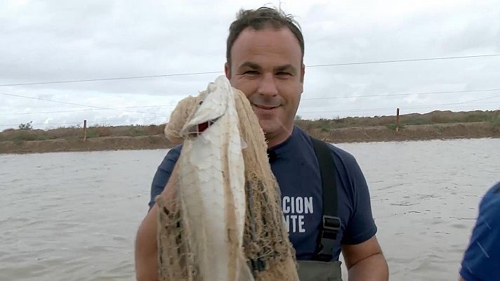 El chef del mar - Doñana