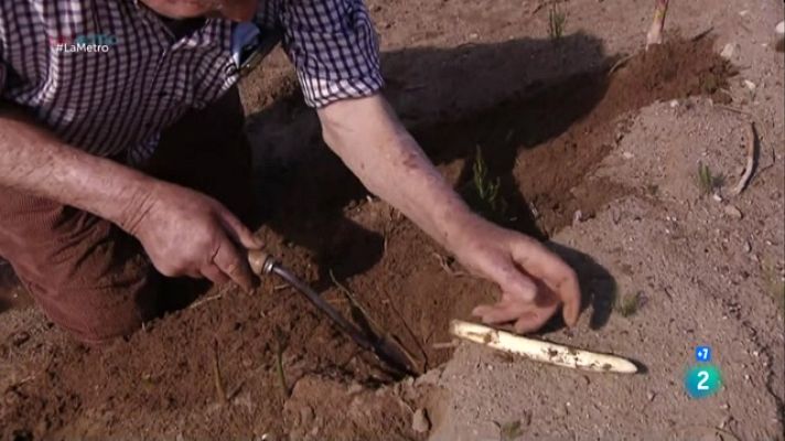 La Metro - Espàrrecs km 0 a Gavà