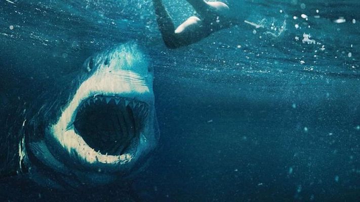 Días de cine - 'Tiburón blanco'