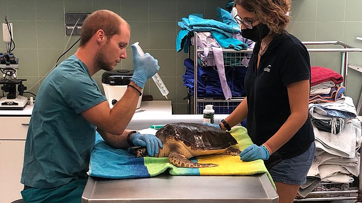 El escarabajo verde - Al borde del abismo: Episodio 2