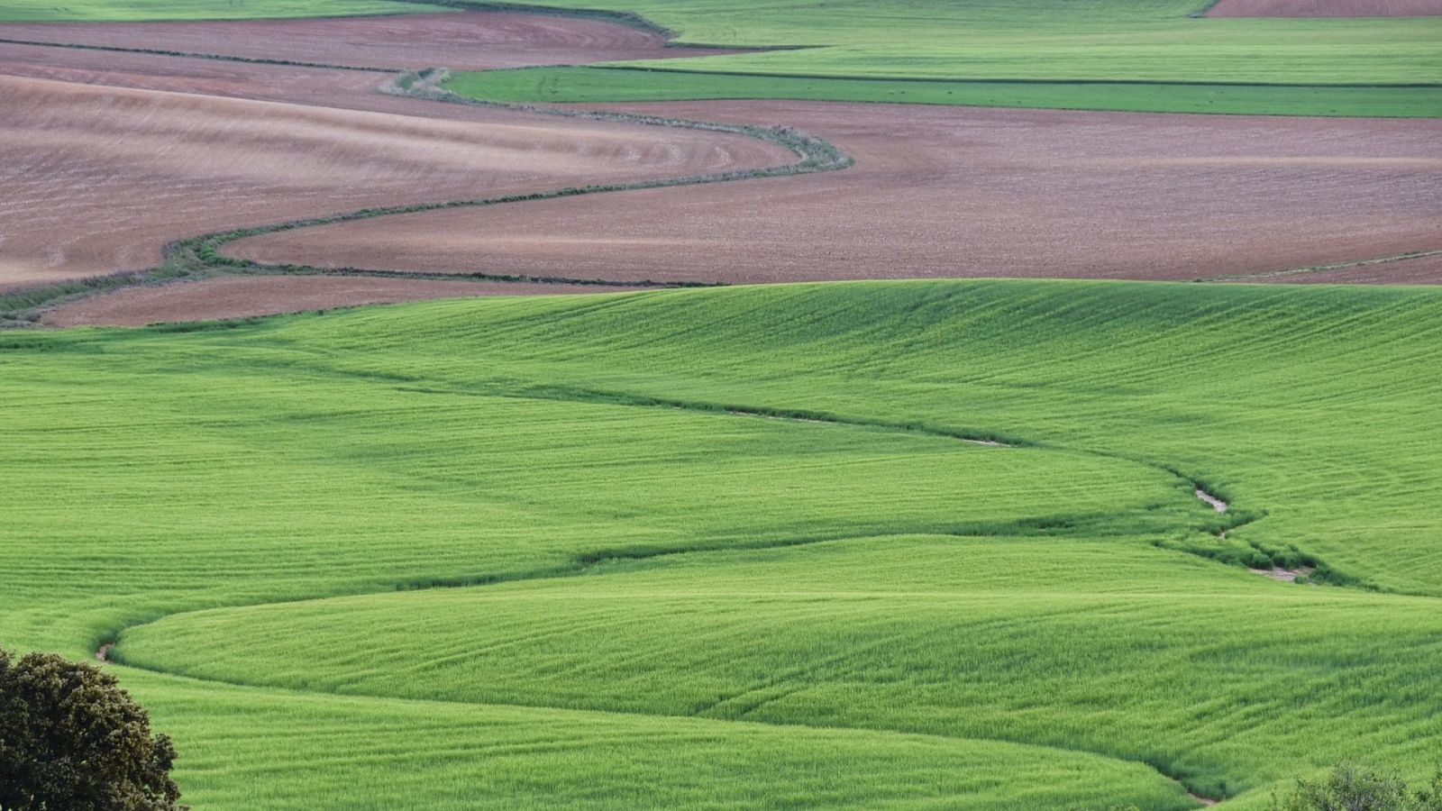 Tractorista de Castilla, un agricultor que difunde en Twitter la belleza del territorio que le rodea