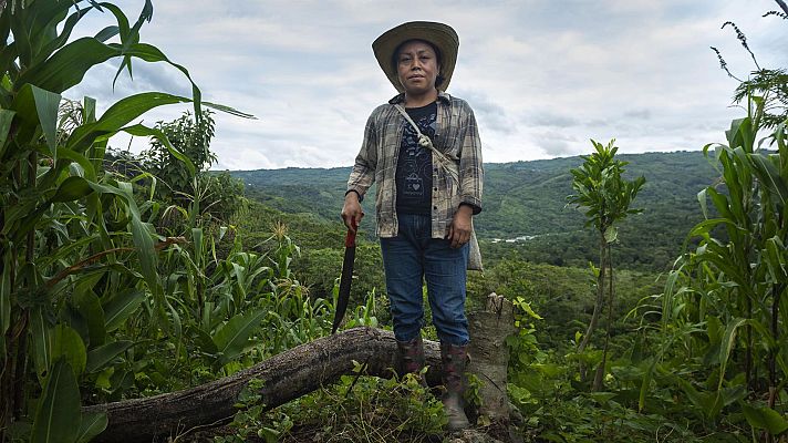 Para todos La 2 - Para todos La2 - 08/05/21