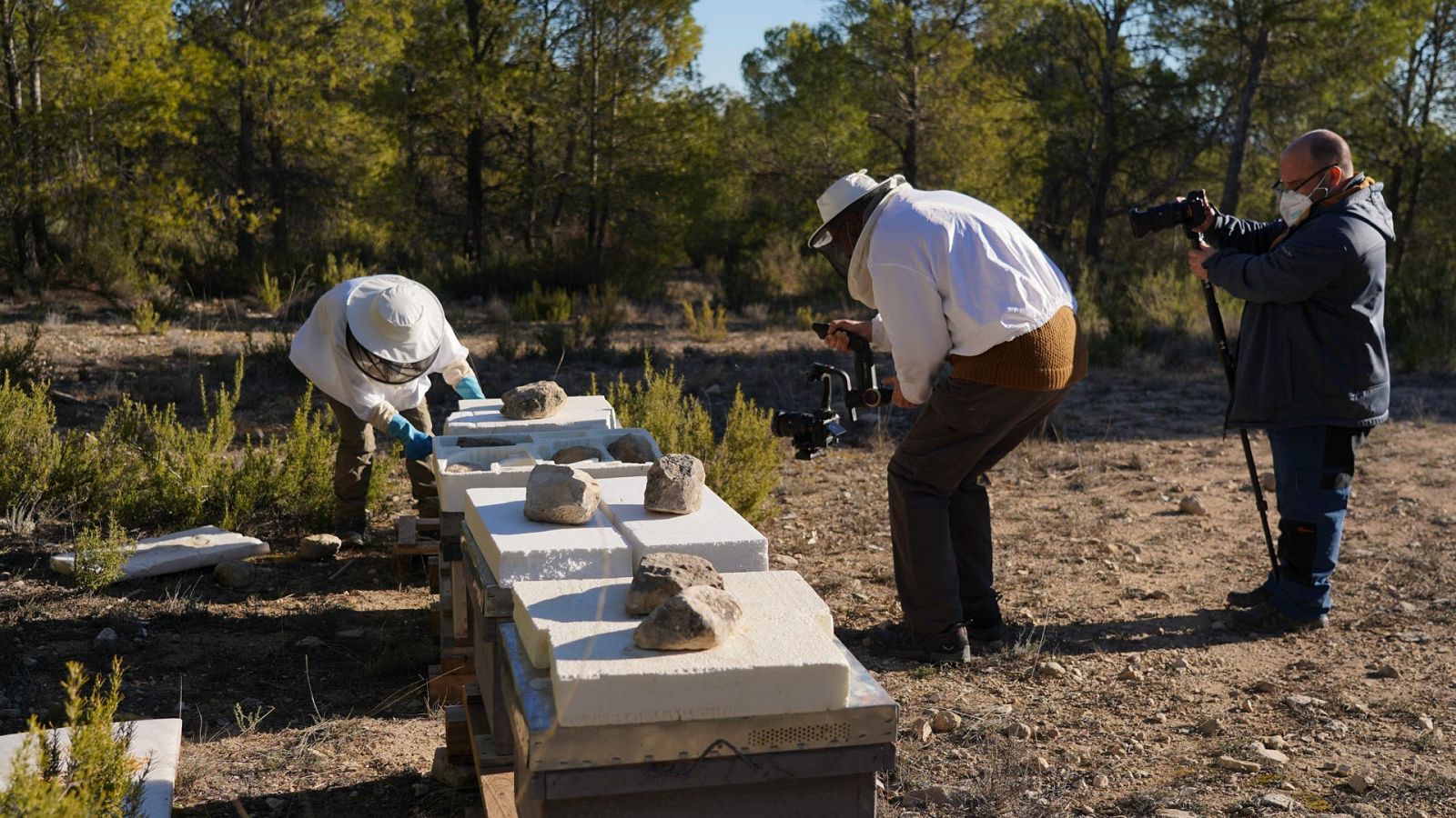 80 cm - Murcia - ver ahora
