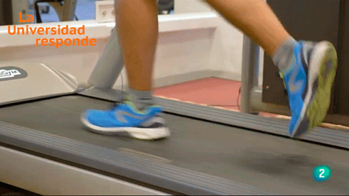 La aventura del Saber - ¿Qué es la vigorexia?