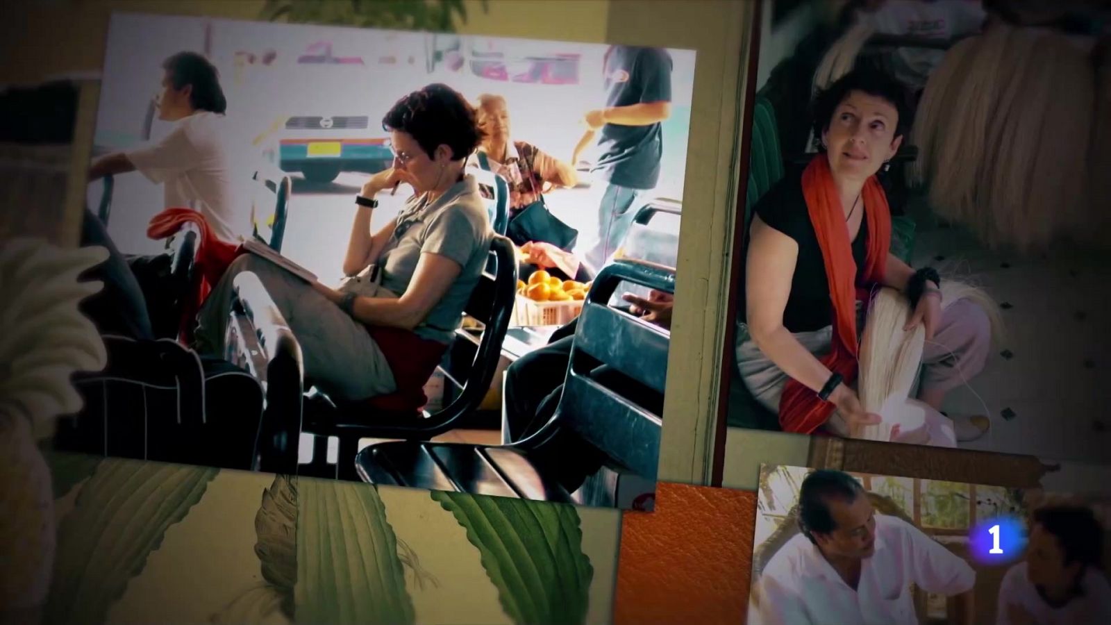 Una española, nominada al Premio Inventor Europeo por crear cuero a partir de fibras de piña - Ver ahora