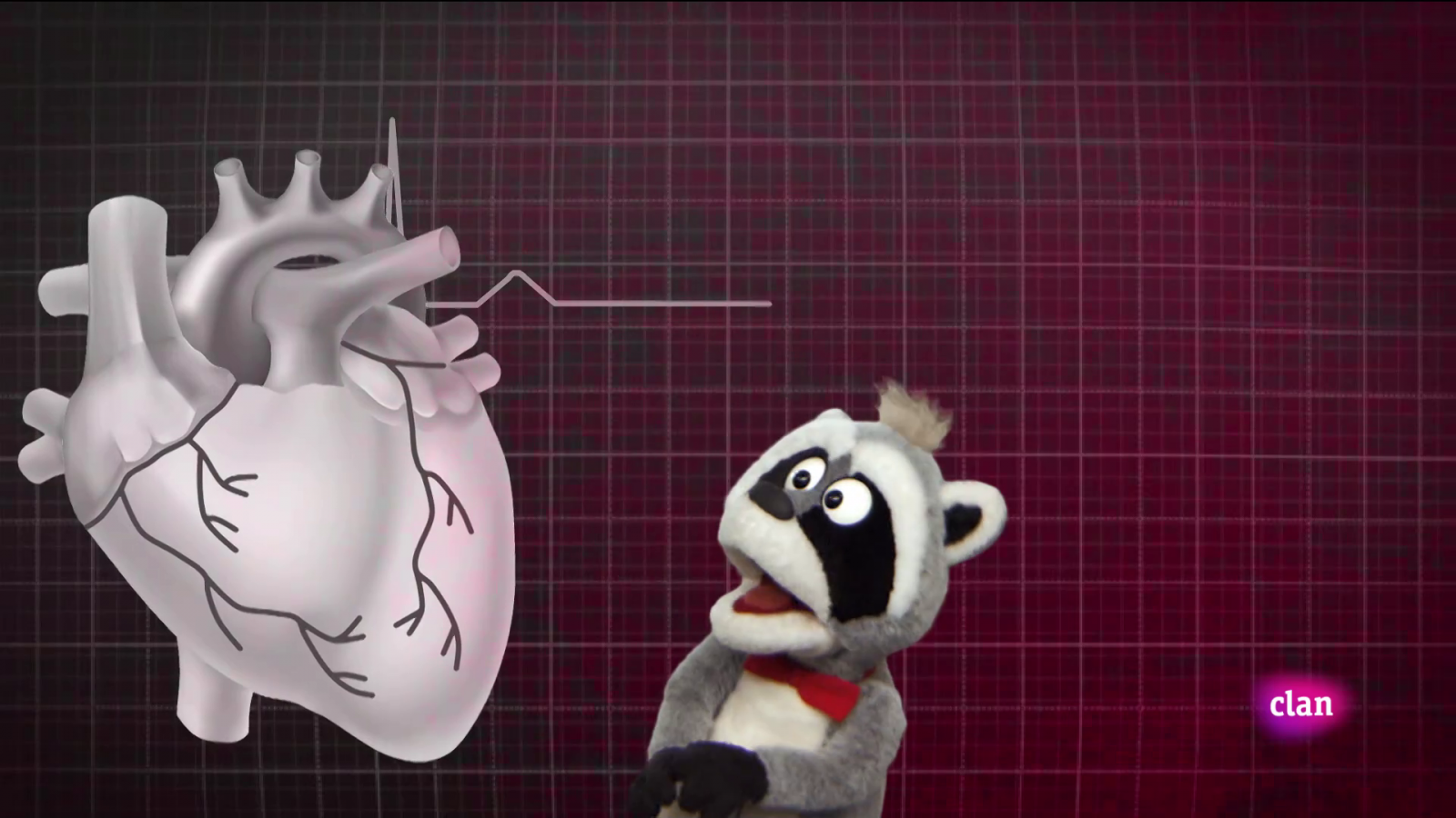 Aprendemos en Clan - ¡Aparato circulatorio! - RTVE.es - Aprendemos en Clan | Ver