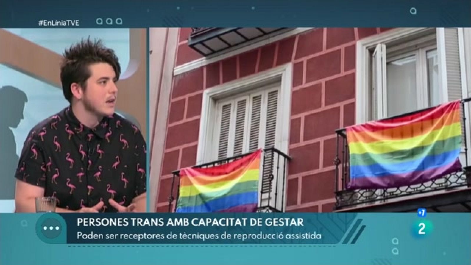 La gestació per part d'homes trans | En Línia - RTVE Catalunya