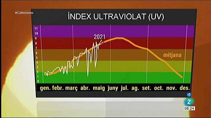 Cafè d'idees - El sol crema tant com a ple estiu