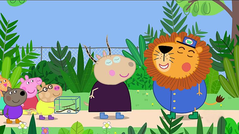 Creepy crawly safari