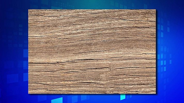 Saber y ganar - Saber y ganar. Edición de fin de semana - 15/05/21