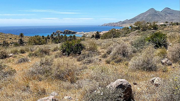 El desierto que florece dos semanas al año se oculta en el P