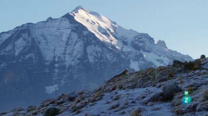 Els Andes salvatges: La Patagònia indòmita