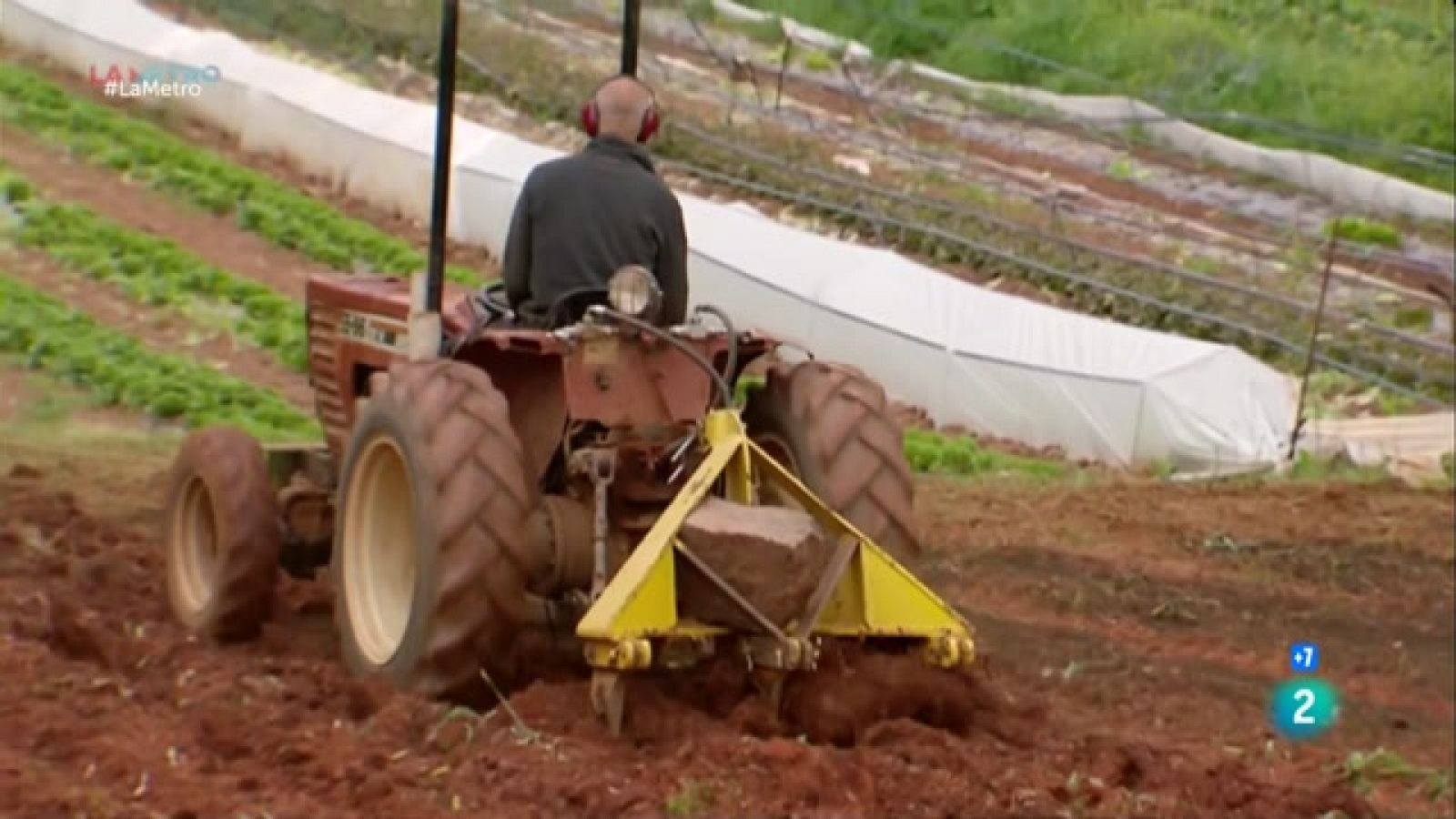 "A Terra", un projecte de reinserció laboral a Can Monmany | La Metro - RTVE Catalunya