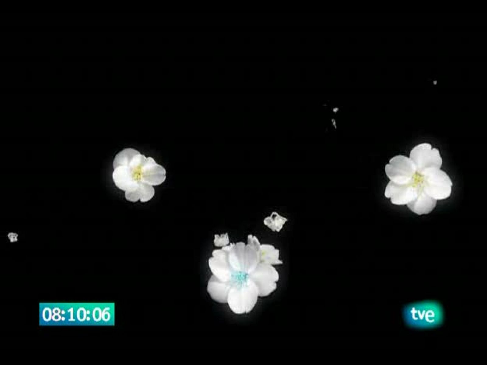 Sin programa: El jardín de los sueños | RTVE Play