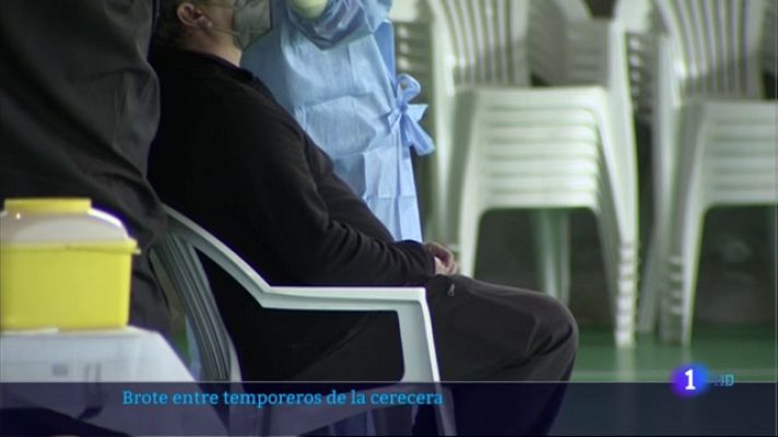 Noticias de Extremadura - Brote entre temporeros de la cerecera hacen saltar las alarmas