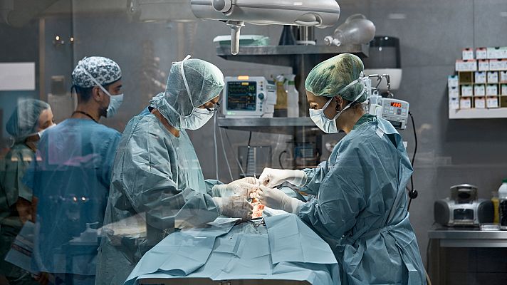 Informativo 24h - Así es un trasplante de riñón de donante vivo