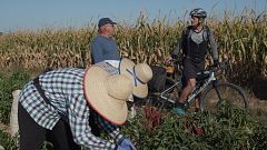 Vía de la Plata: Diario de un ciclista - Etapa 7: De Grimaldo a Villarreal de San Carlos