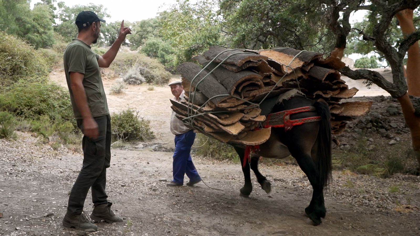 Ruralitas - Sierra Puerto de las Encinas (Málaga) y San Esteban de Gormaz (Soria)