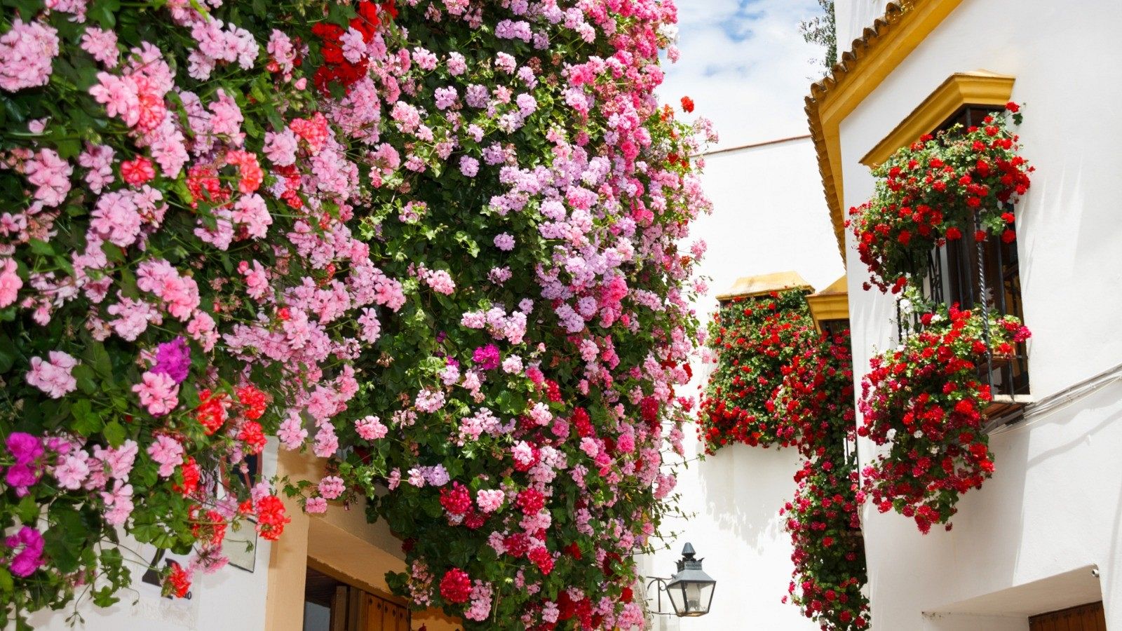 De ruta por los balcones más floridos de Córdoba