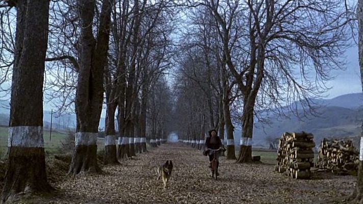 Días de cine - Días de cine - El momento de cine de Carlo D'Ursi: 'El sur'