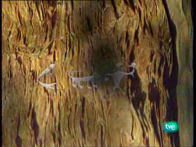 La tierra de los bosques mágicos