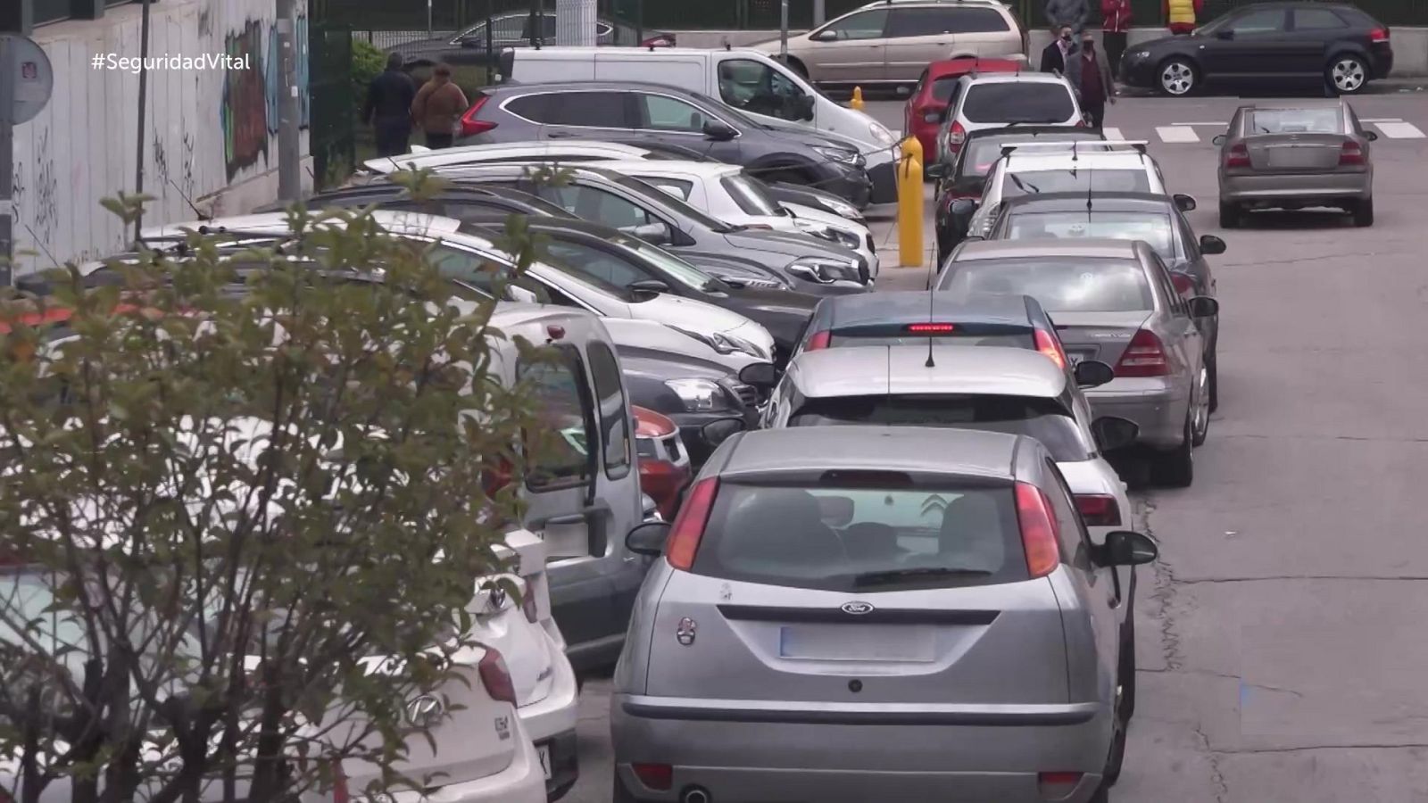 Seguridad vital - 16/05/21 - ver ahora