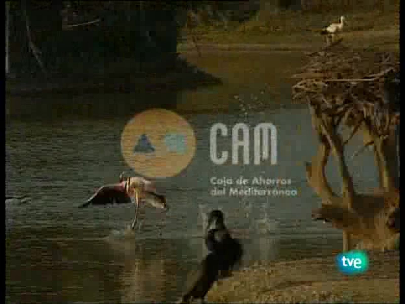 Guardianes de hábitat - Sobre tejados y cavernas - Guardianes de hábitat | Ver