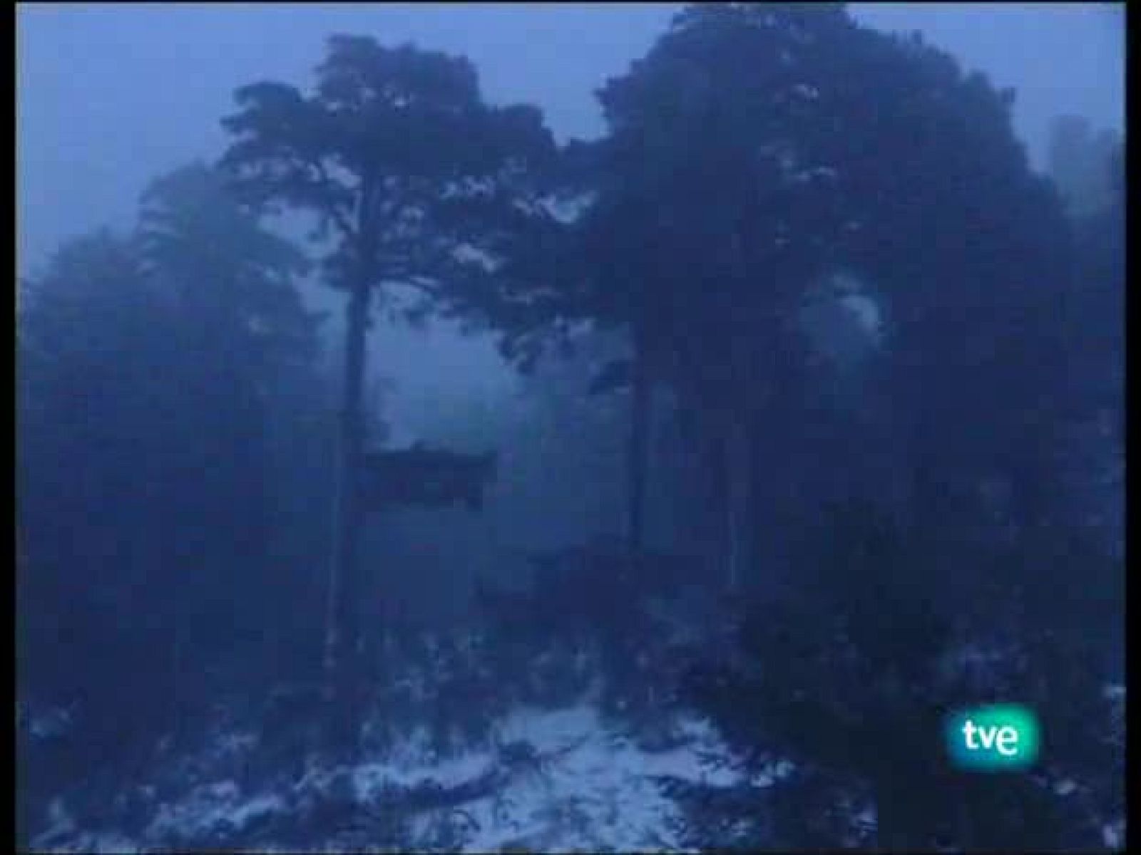 Guardianes de hábitat - La comunidad silenciosa - Guardianes de hábitat | Ver