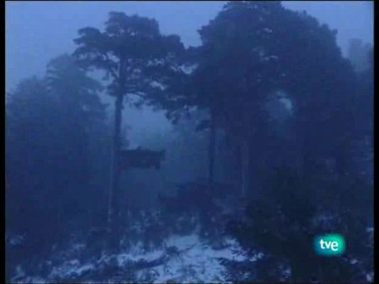 Guardianes de hábitat - La comunidad silenciosa