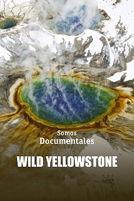 El salvaje Yellowstone
