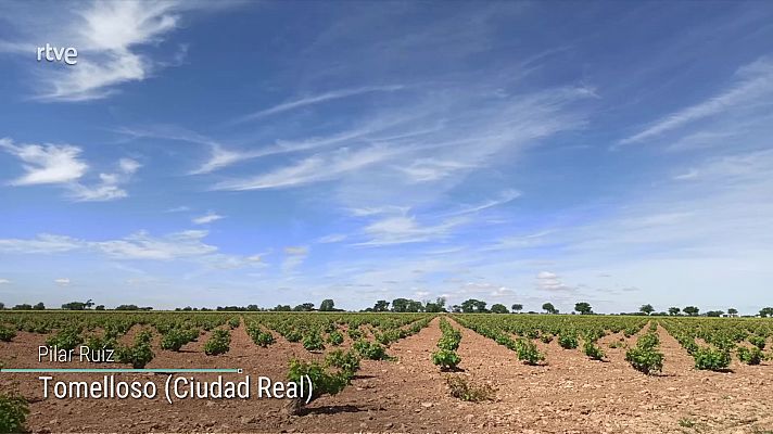 El tiempo - Intervalos de vientos fuertes en Canarias