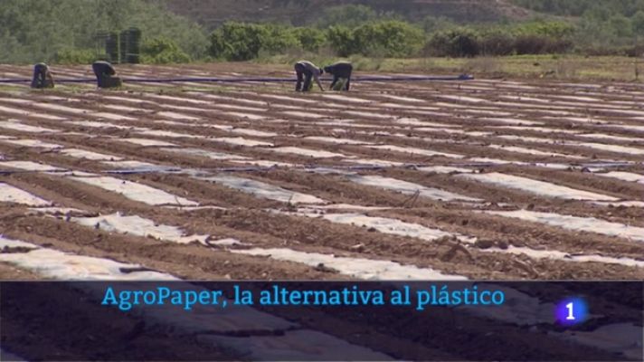 Telenavarra - AgroPaper, la alternativa al plástico en los cultivos