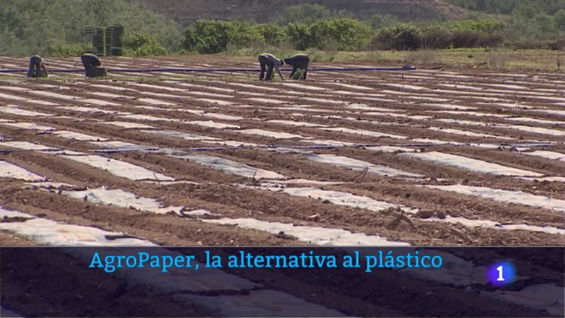 AgroPaper la alternativa al plástico en los cultivos
