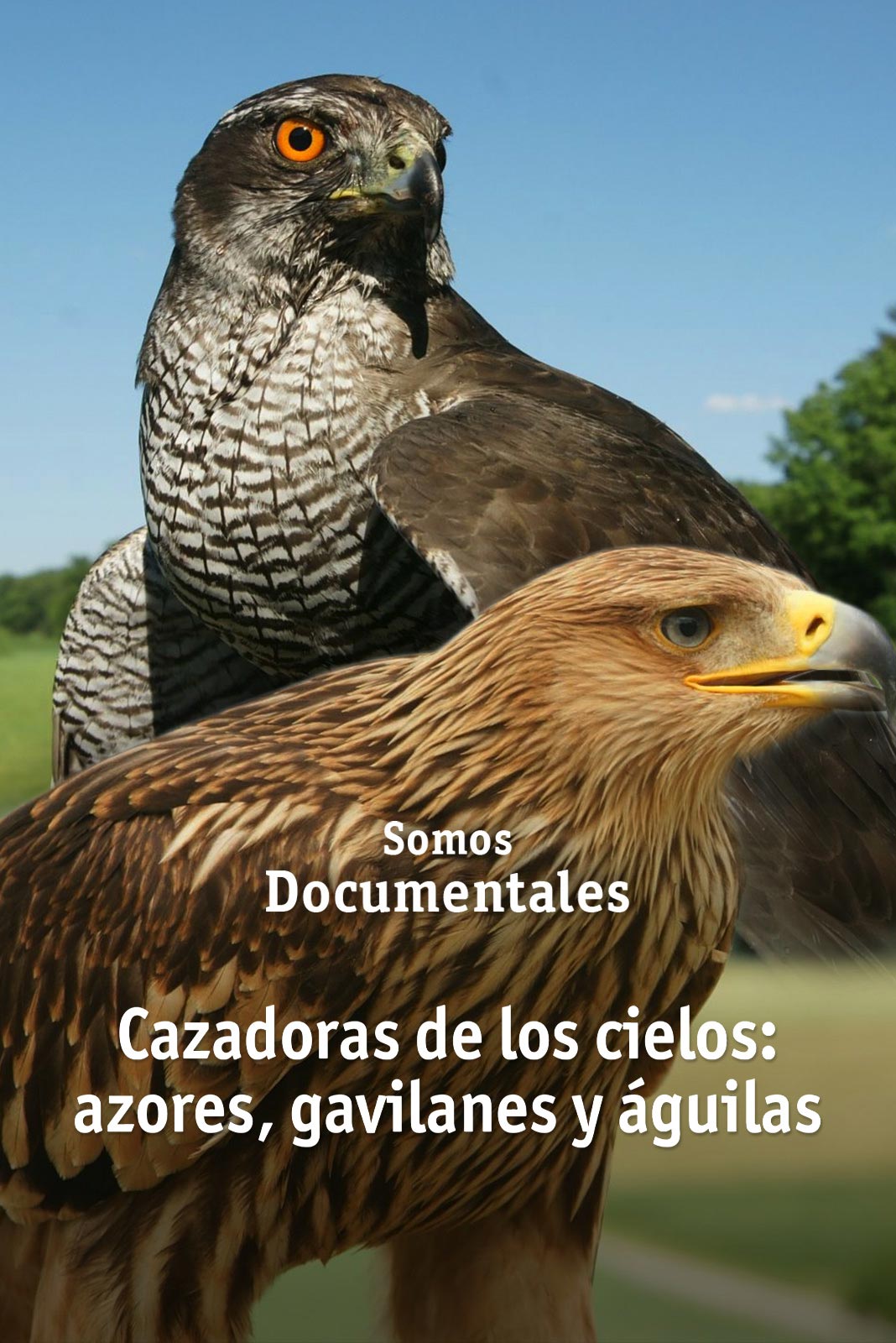 Documentales Online - Los Mejores Documentales En RTVE.es